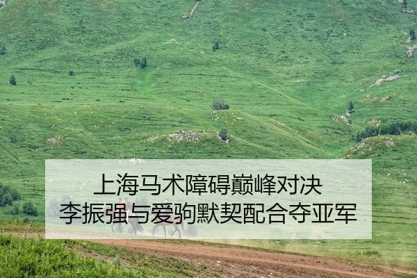 上海马术障碍巅峰对决 李振强与爱驹默契配合夺亚军